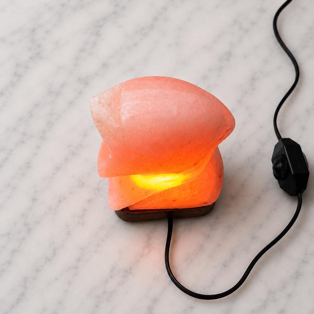 Dolphin Himalayan Salt Lamp hand carved from natural pink Himalayan salt