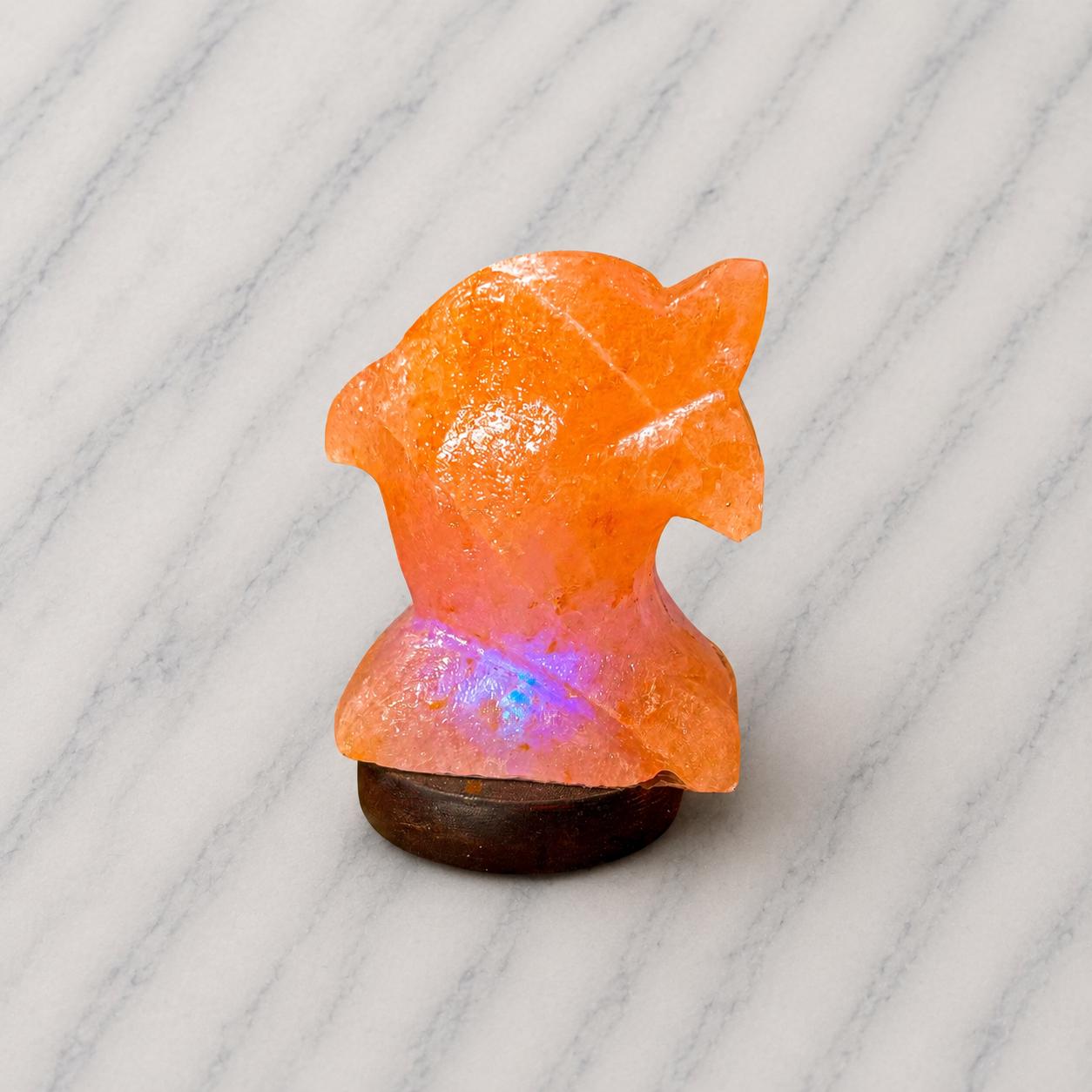 Mini Dolphin Himalayan Salt Lamp USB glowing with soft multicolor light