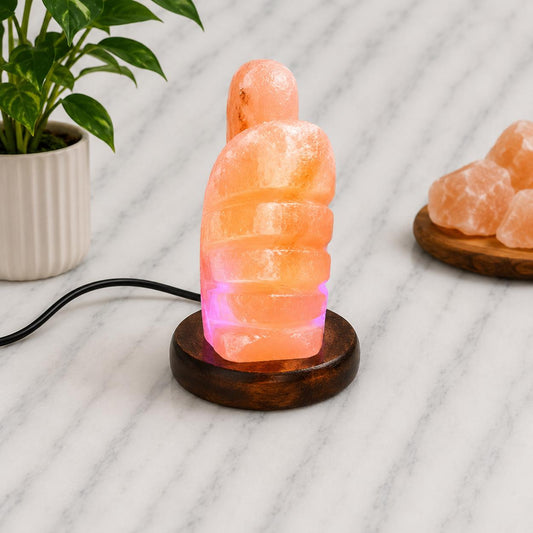 Mini Duck Himalayan Salt Lamp USB whimsical carved design glowing multicolor