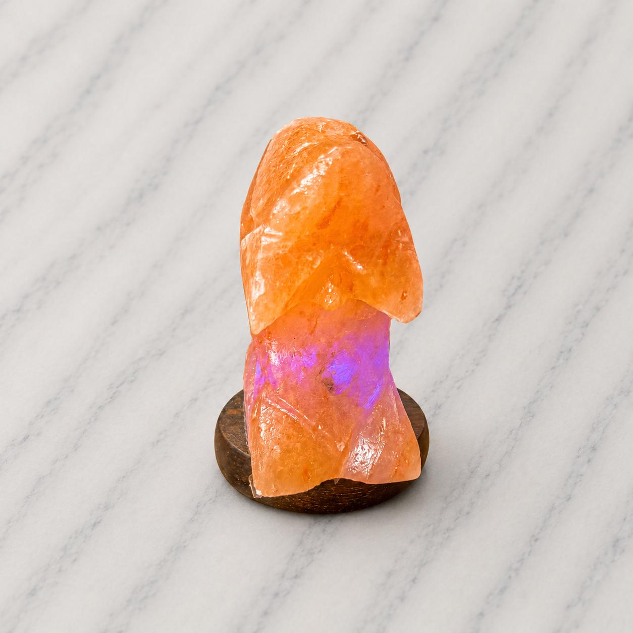 Mini Dolphin Himalayan Salt Lamp USB glowing with soft multicolor light