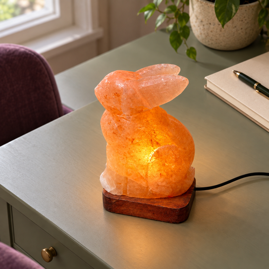 Rabbit Himalayan salt lamp seen from above in a writing room